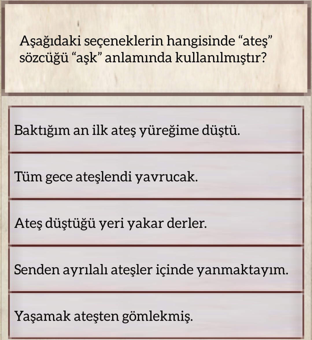 Soru Görseli
